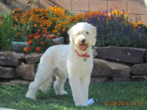 What Our Families Are Saying